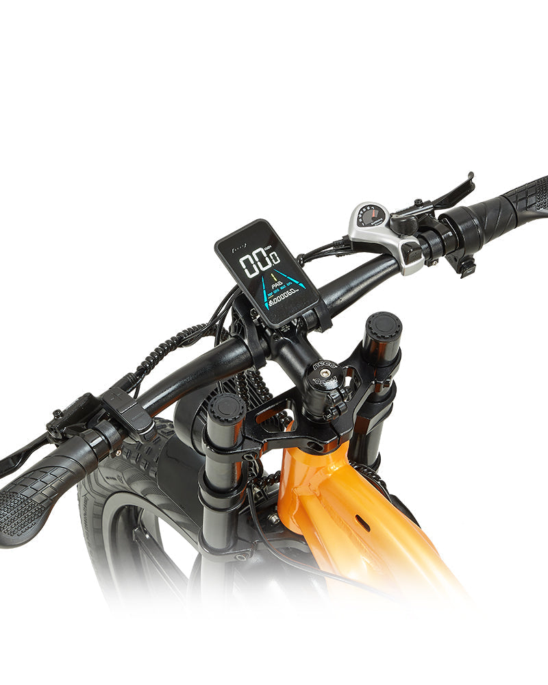 PULUMA PH003 MAX 2000W resnu riepu divu motoru elektriskais velosipēds