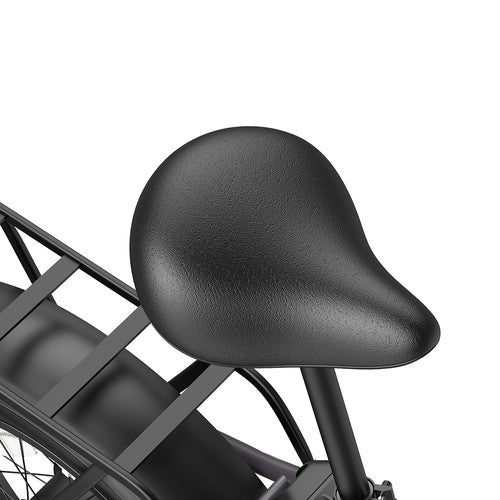 Fafrees FF20 Polar elektriskais velosipēds, 500 W motors, 48 V 24 Ah dubultā baterija.