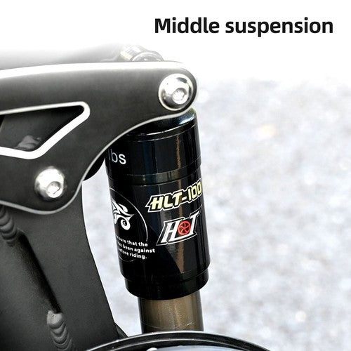 ENGWE Engine X salokāmais elektriskais velosipēds