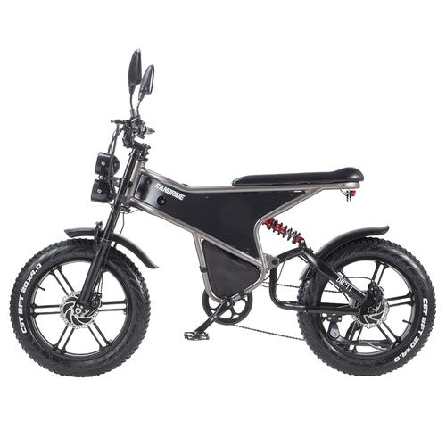 RANDRIDE DM711 elektriskais velosipēds, 1000W*2 motors, 48V 20Ah