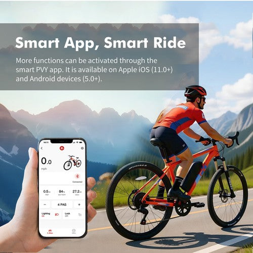 PVY M29 elektriskais velosipēds 250W motors 48V 17.5Ah