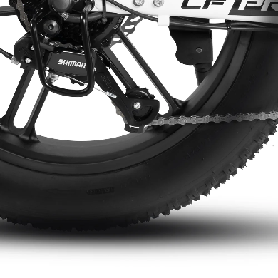 Elektriskais velosipēds Rattan LF Pro 250W