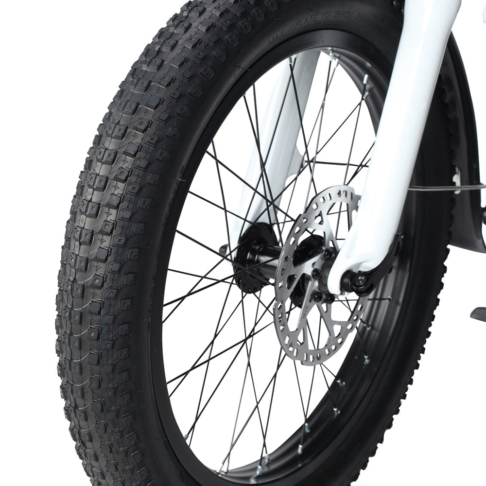 PHILODO Traveler ģimenes un kravas elektriskais velosipēds 
