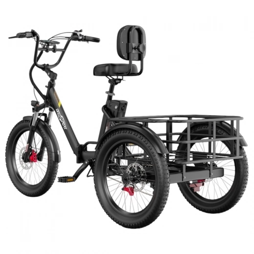 ONESPORT OT30 PRO trīsriteņu elektriskais velosipēds