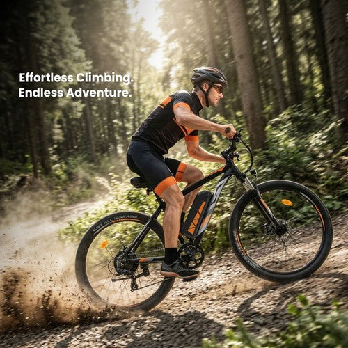 Touroll U2 Pro elektriskais velosipēds, 750W motors, 48V 15Ah