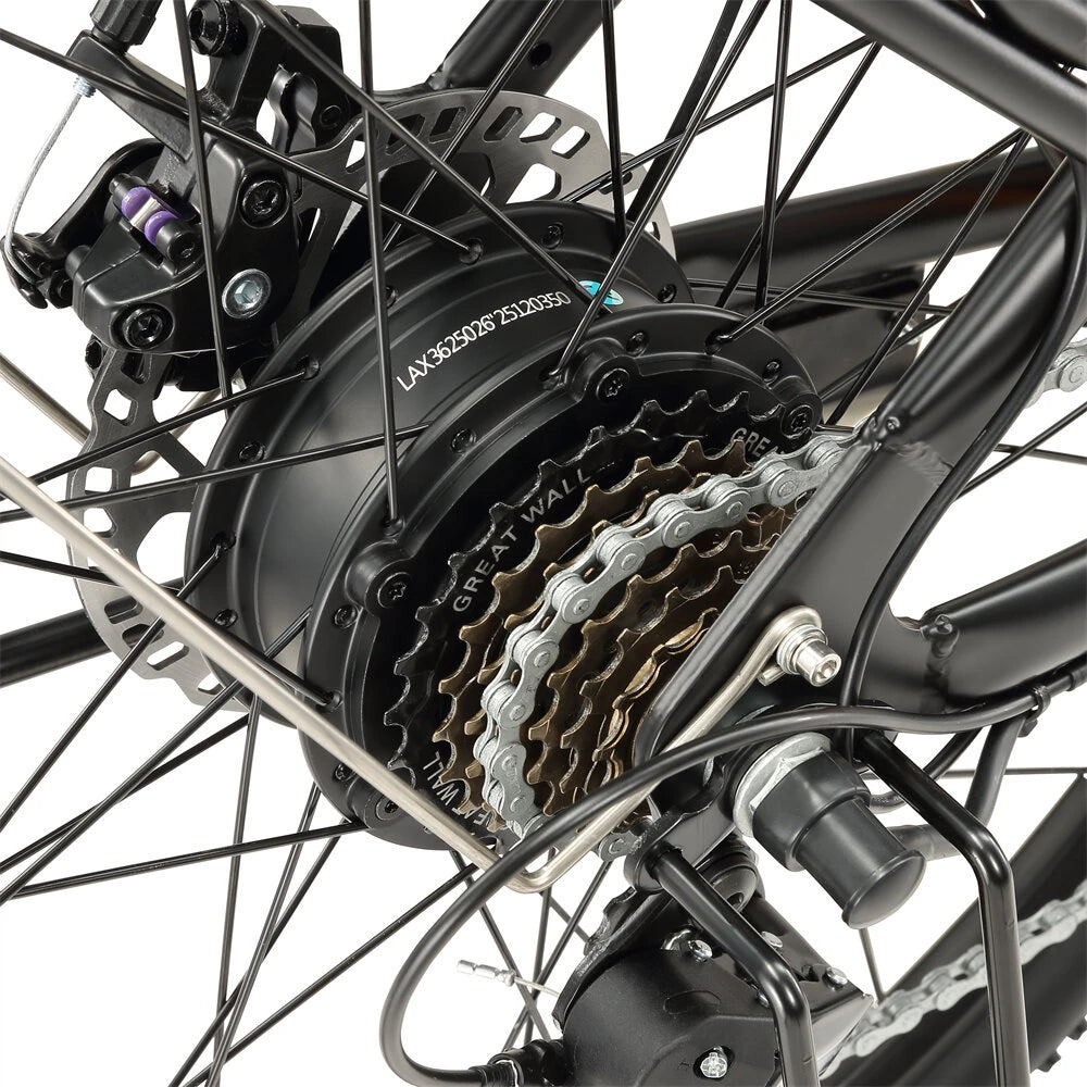 SINOHON EM300 elektriskais velosipēds 36V 15Ah 250W