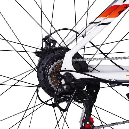 PVY M29 elektriskais velosipēds 250W motors 48V 17.5Ah