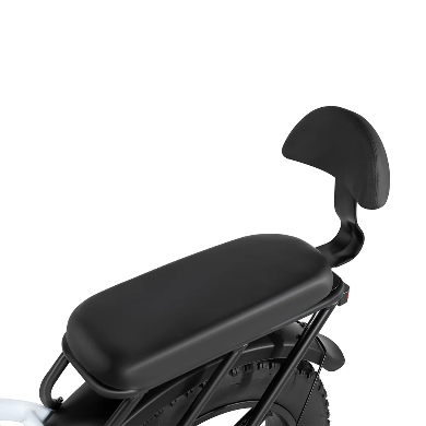 Elektriskais velosipēds Rattan LF Pro 250W