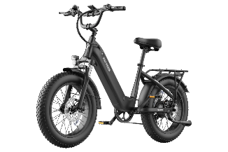 FAFREES F20 Rover elektrinis dviratis 250W