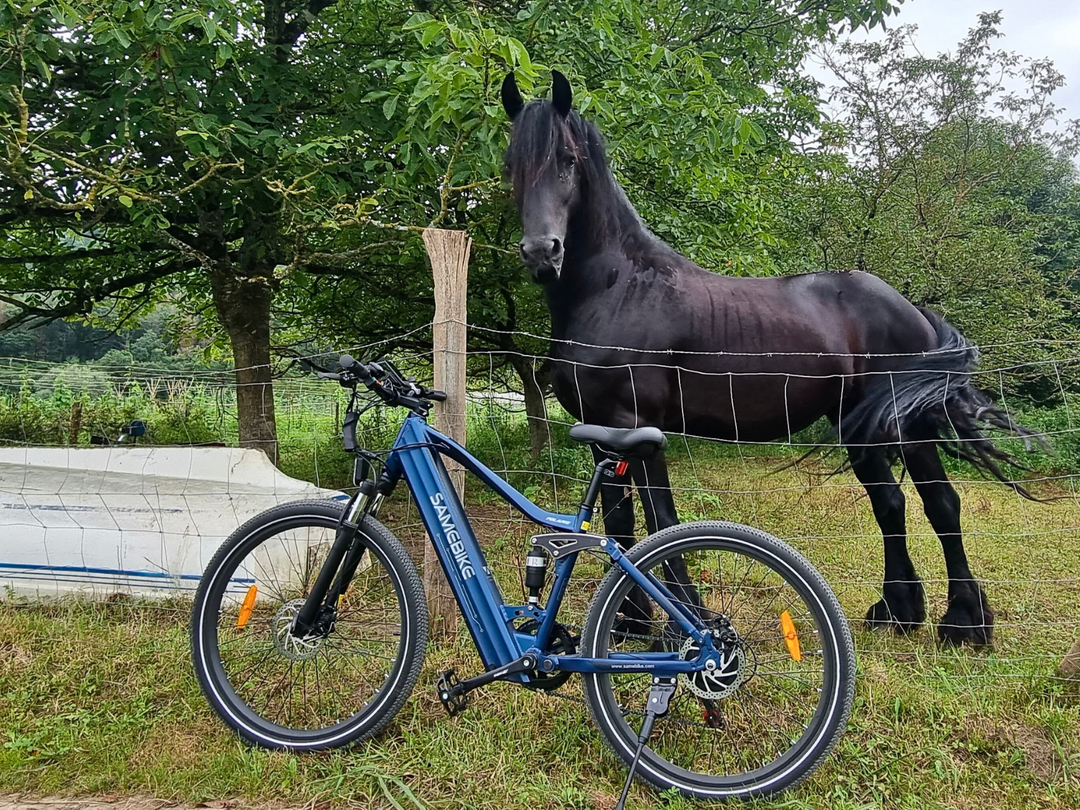 Elektriskais velosipēds Samebike XD26-II