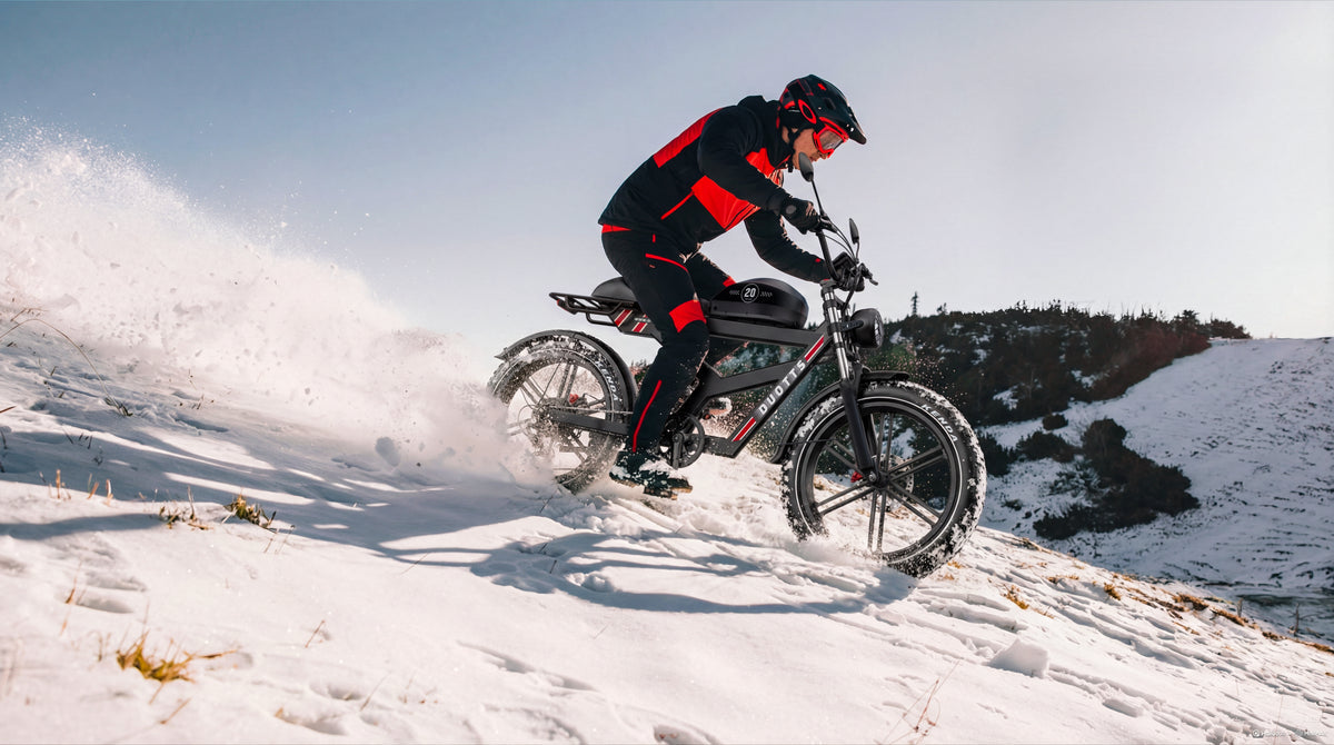 DUOTTS F20 elektriskais velosipēds 27Ah 750W