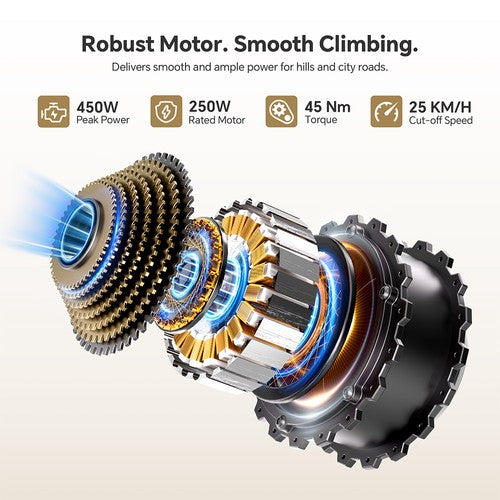 Touroll J2 ST Elektriskais Divritenis, 250W Motors, 36V 15.6Ah