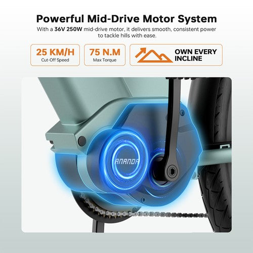 Foride Urbano 1 elektriskais velosipēds, 250 W, 36 V 13 Ah