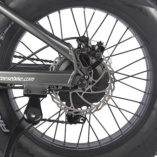 Fafrees F20 Ultra elektriskais velosipēds (atjaunināta bremžu versija), 750 W motors, 48 V 25 Ah