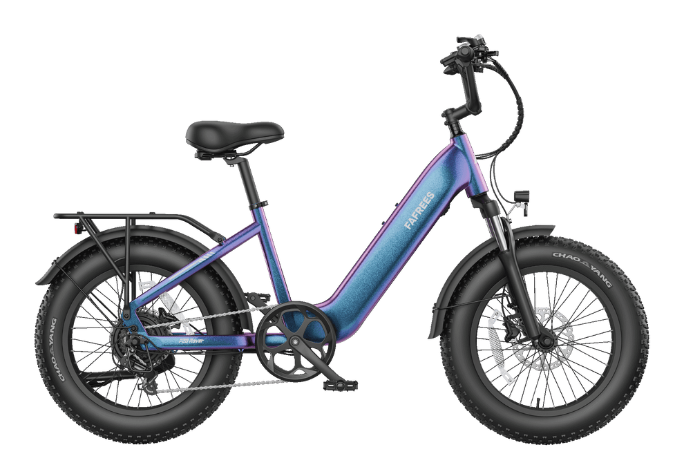FAFREES F20 Rover elektrinis dviratis 250W