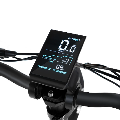 Elektriskais velosipēds Rattan LF Pro 250W