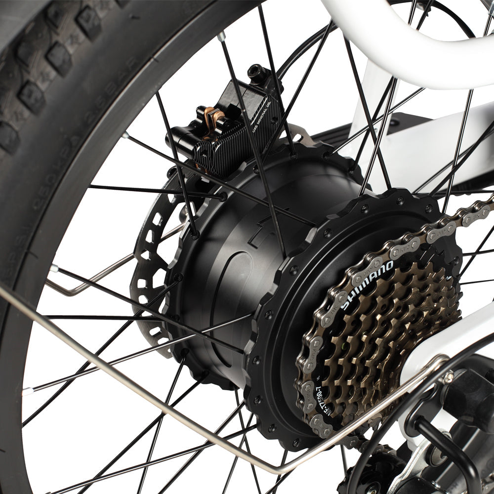 PHILODO Traveler ģimenes un kravas elektriskais velosipēds 