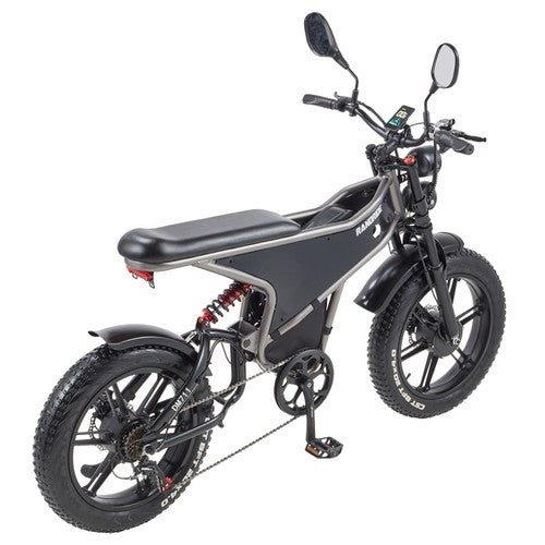 RANDRIDE DM711 elektriskais velosipēds, 1000W*2 motors, 48V 20Ah