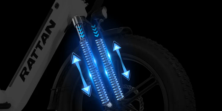 Elektriskais velosipēds Rattan LF Pro 250W