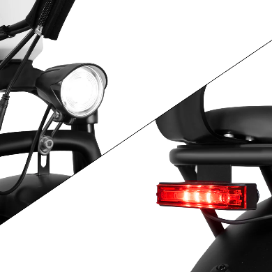 Elektriskais velosipēds Rattan LF Pro 250W